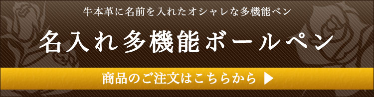 名入れ多機能ボールペンタイトル