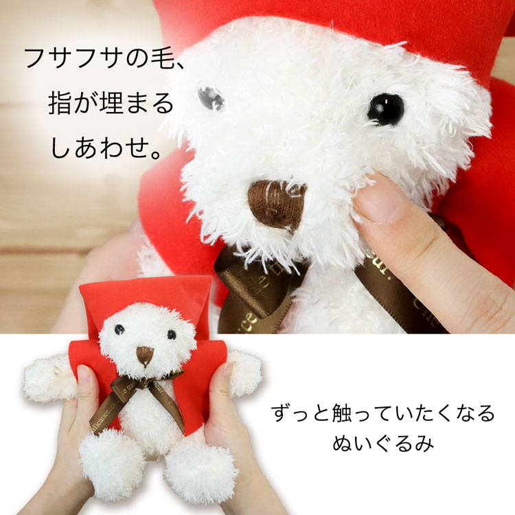 ふさふさの毛　還暦テディベア