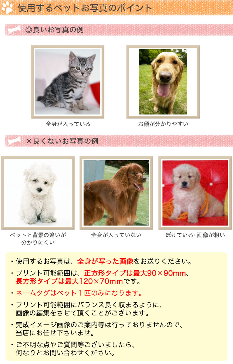 使用するお写真のポイント