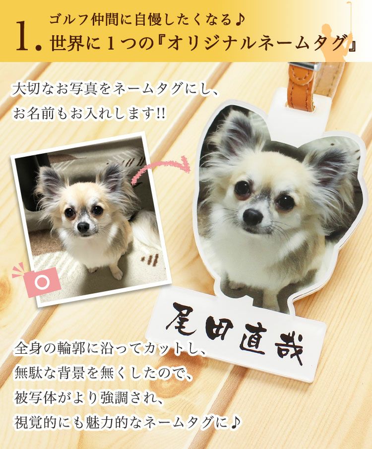 おすすめ1