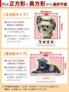 選べる形
