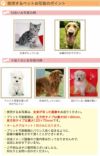 使用するお写真のポイント