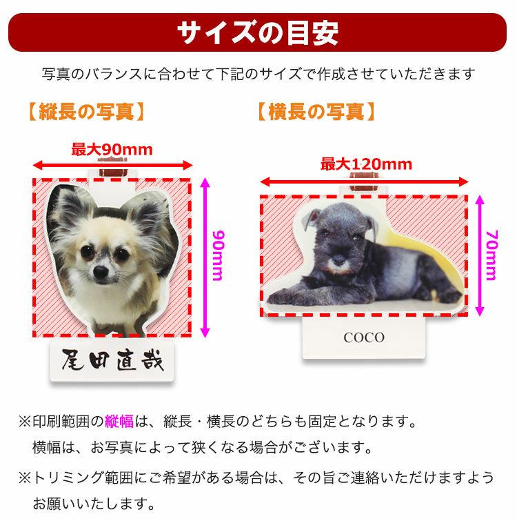サイズの目安