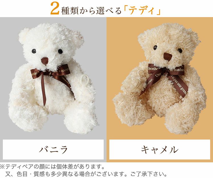 選べるテディ