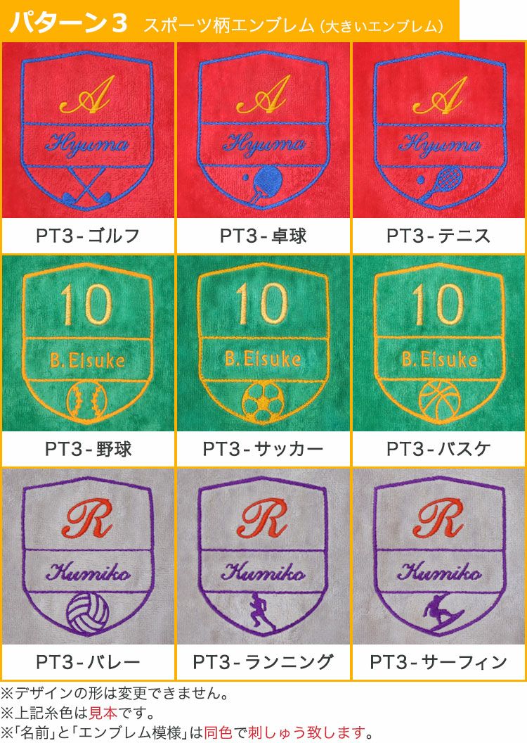 エンブレムデザイン（パターン3）
