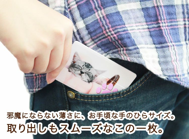 取り出しもスムーズなこの一枚