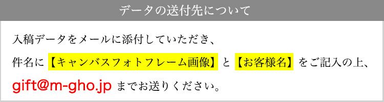 送付先アドレス